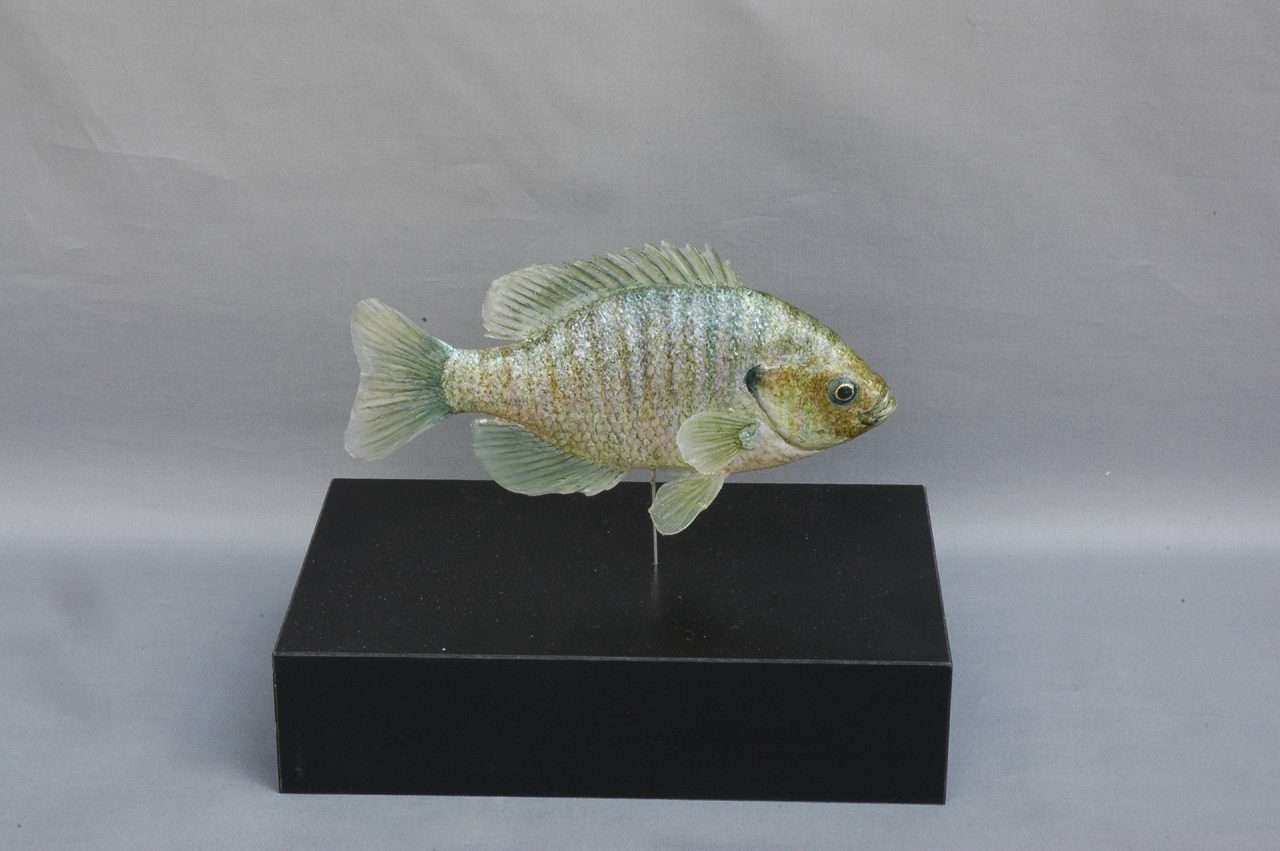 魚類 西尾製作所
